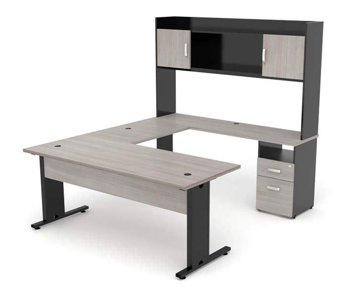 Escritorios Operativos y Directivos