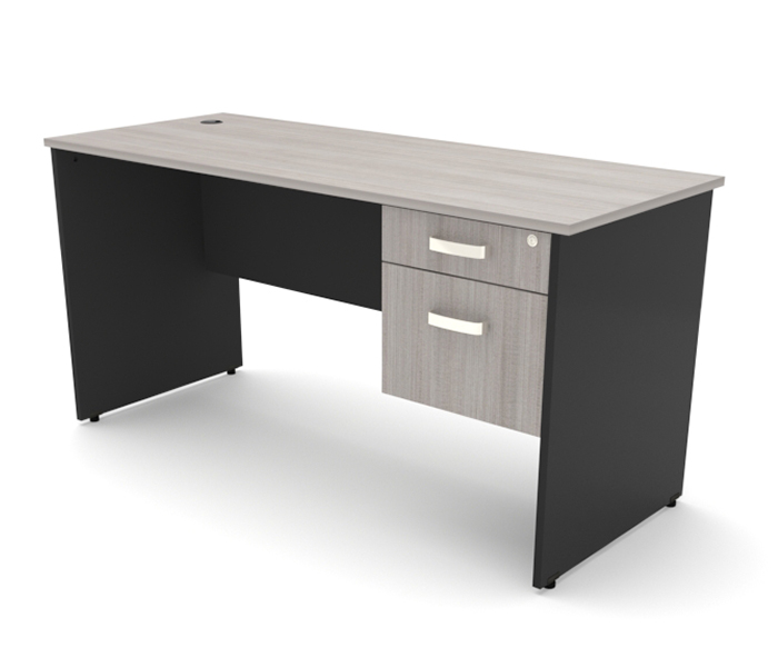 ESCRITORIO PRACTIKA ECO 1 (DER./IZQ.)